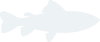 皇冠体育app