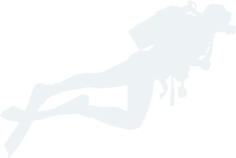 皇冠体育app