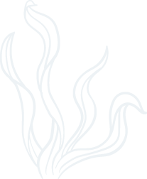 皇冠体育app